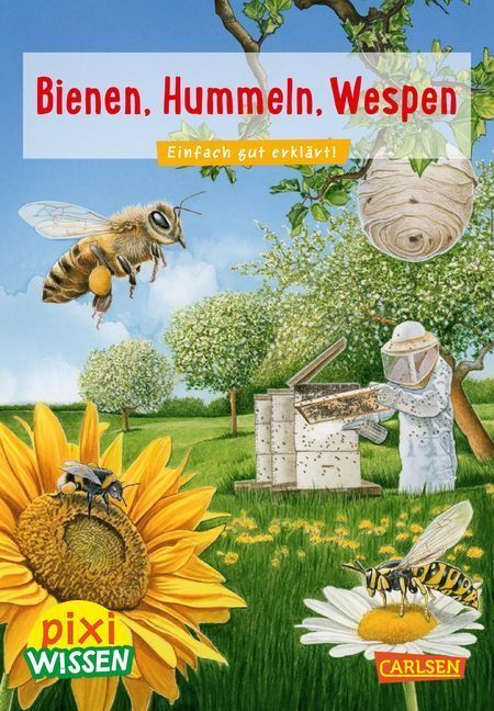 Cover: 9783551241917 | Pixi Wissen 104: Bienen, Hummeln, Wespen | Einfach gut erklärt | 2018