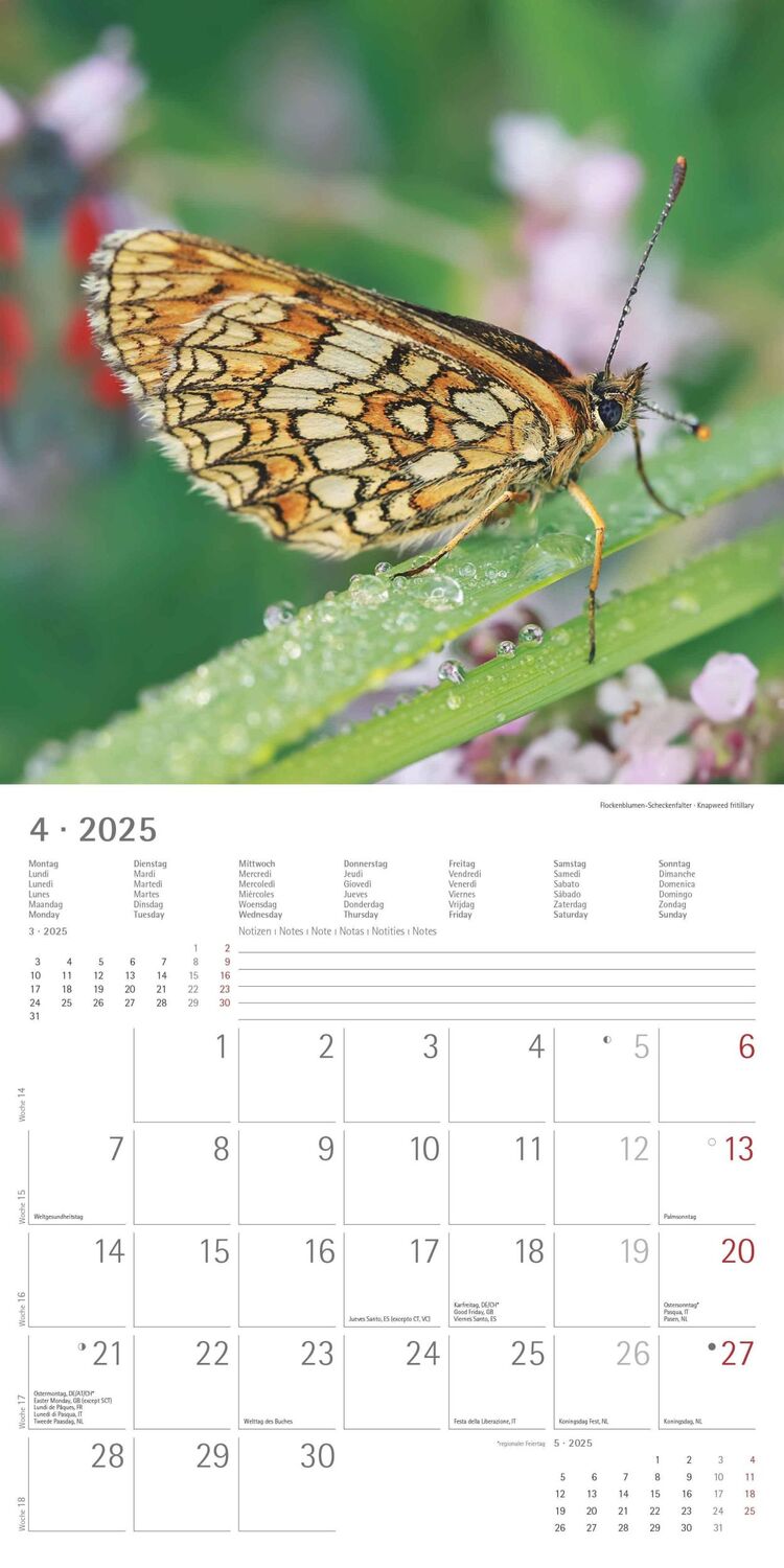 Bild: 4251732340803 | Wald und Flur 2025 - Broschürenkalender 30x30 cm (30x60 geöffnet) -...