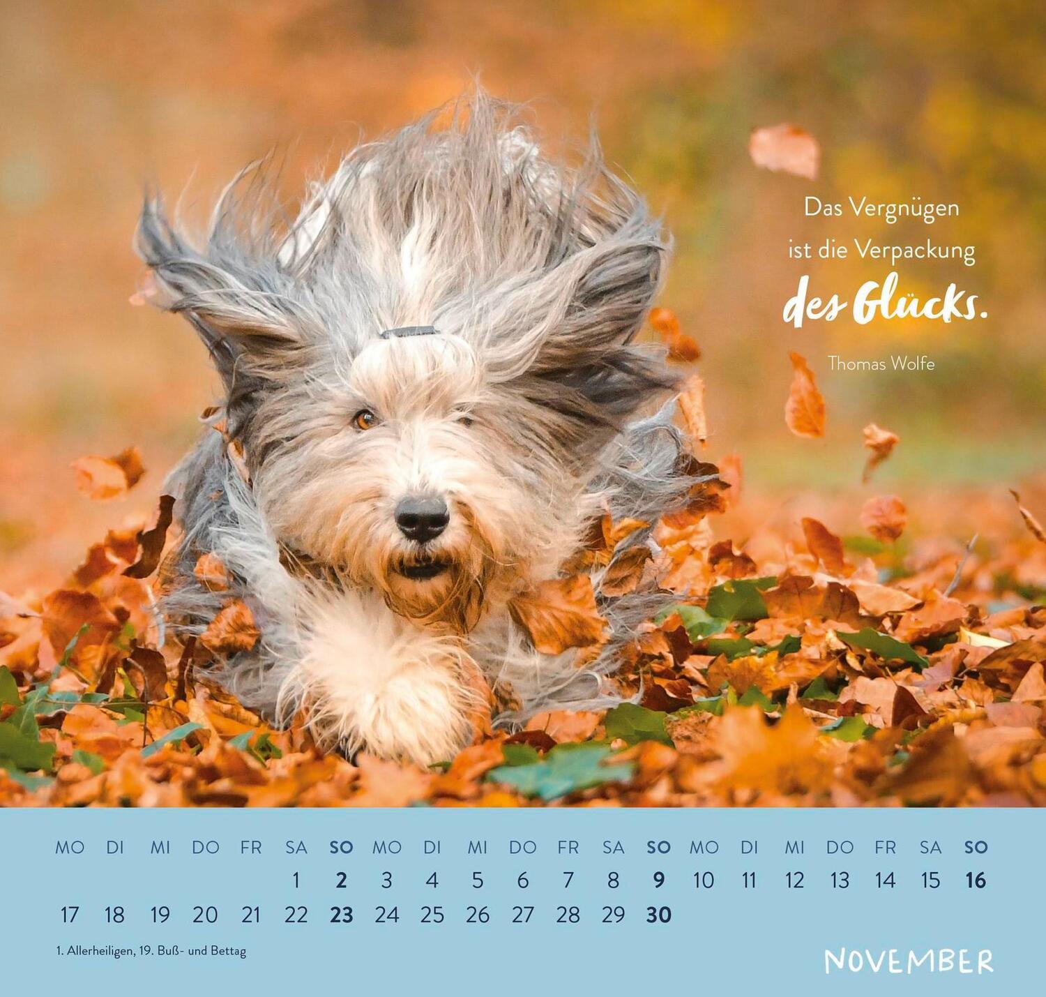 Bild: 4036442011867 | Wandkalender 2025: Für Hundefreunde | Groh Verlag | Kalender | 12 S.