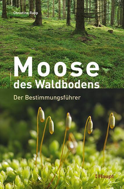 Cover: 9783258081397 | Moose des Waldbodens | Der Bestimmungsführer | Christine Rapp | Buch