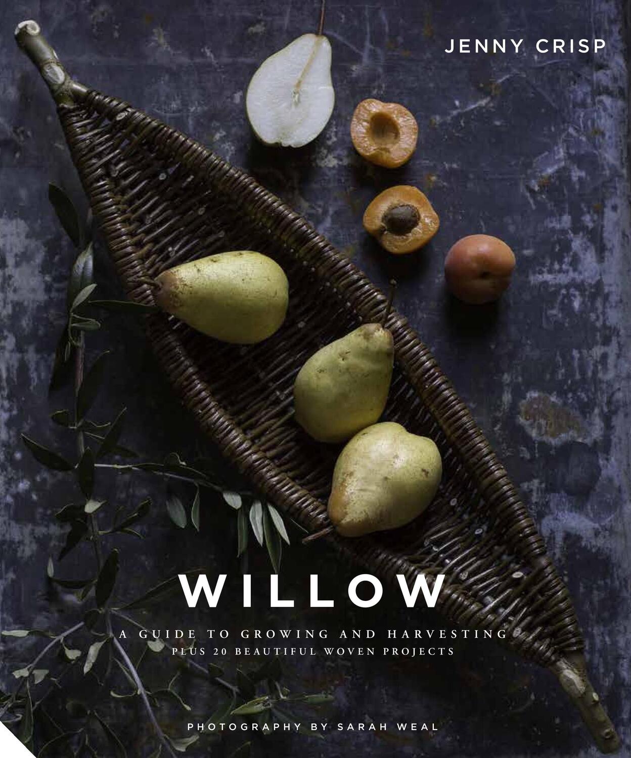 Cover: 9781911127710 | Willow | Jenny Crisp | Buch | Gebunden | Englisch | 2018