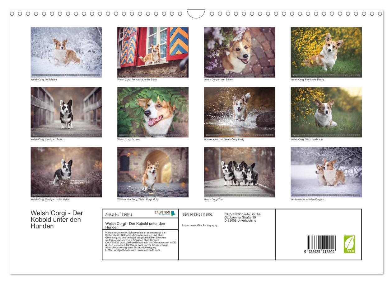 Bild: 9783435118502 | Welsh Corgi - Der Kobold unter den Hunden (Wandkalender 2025 DIN A3...