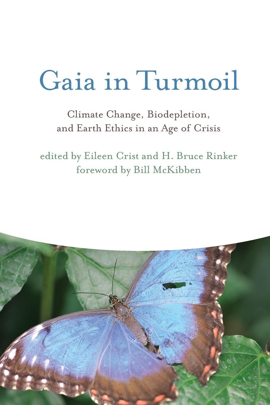 Cover: 9780262513524 | Gaia in Turmoil | H. Bruce Rinker | Taschenbuch | Paperback | Englisch