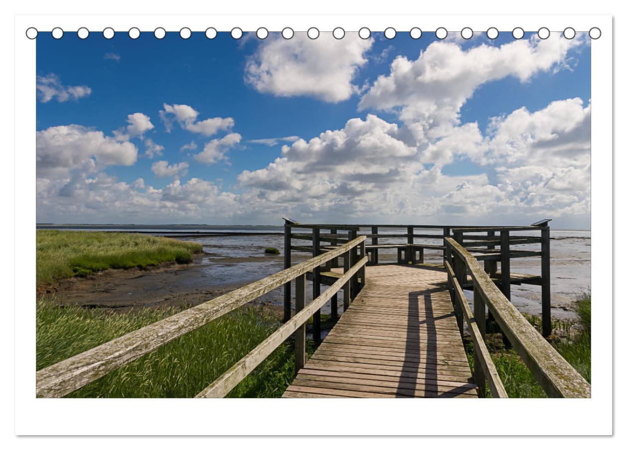 Bild: 9783435803002 | Impressionen der Nordseeinsel Amrum (Tischkalender 2025 DIN A5...