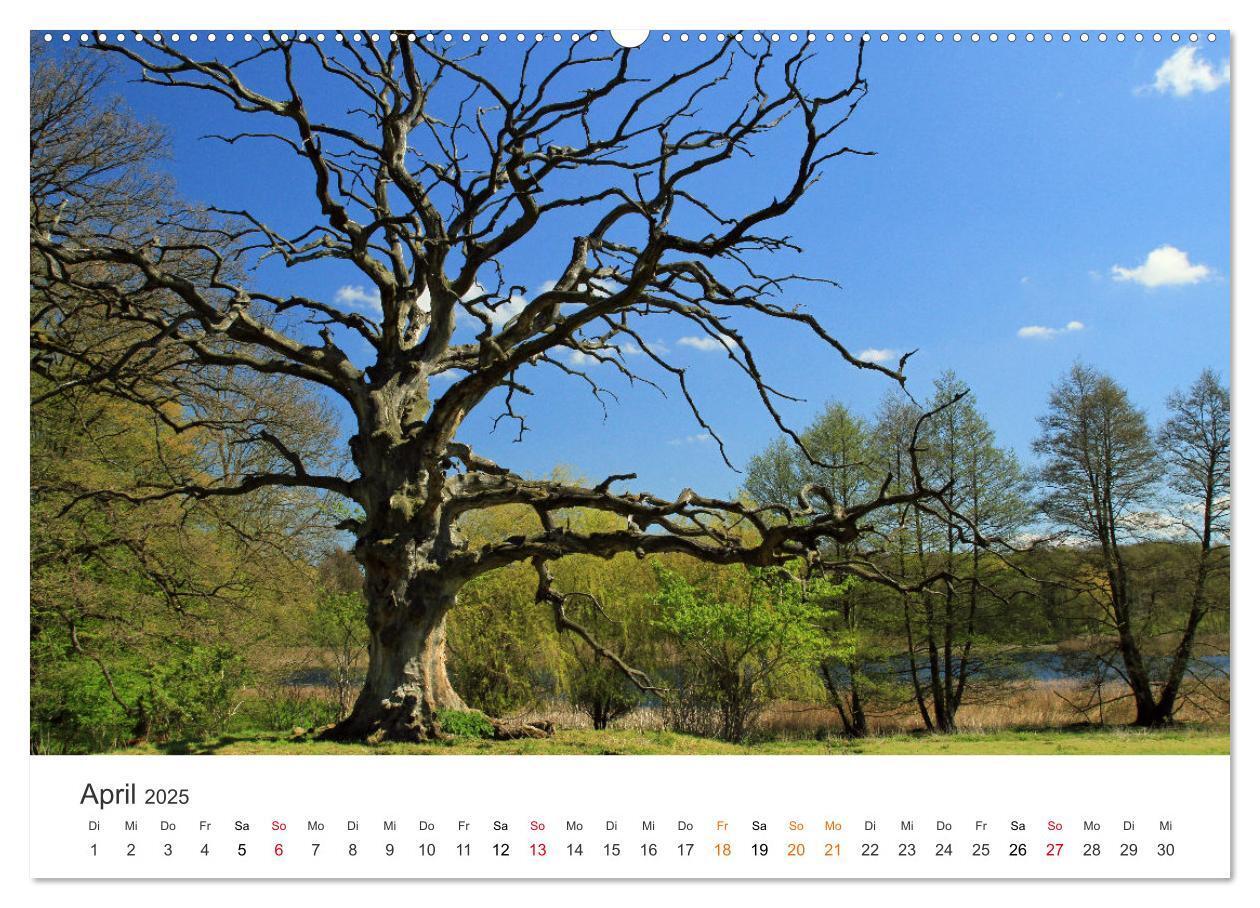 Bild: 9783435057474 | Faszination Natur - Bilder aus Mecklenburg-Vorpommern (Wandkalender...