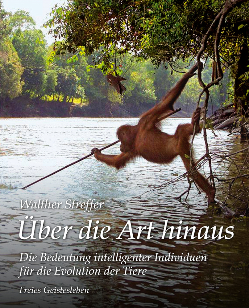 Cover: 9783772526947 | Über die Art hinaus | Walther Streffer | Buch | Deutsch | 2016