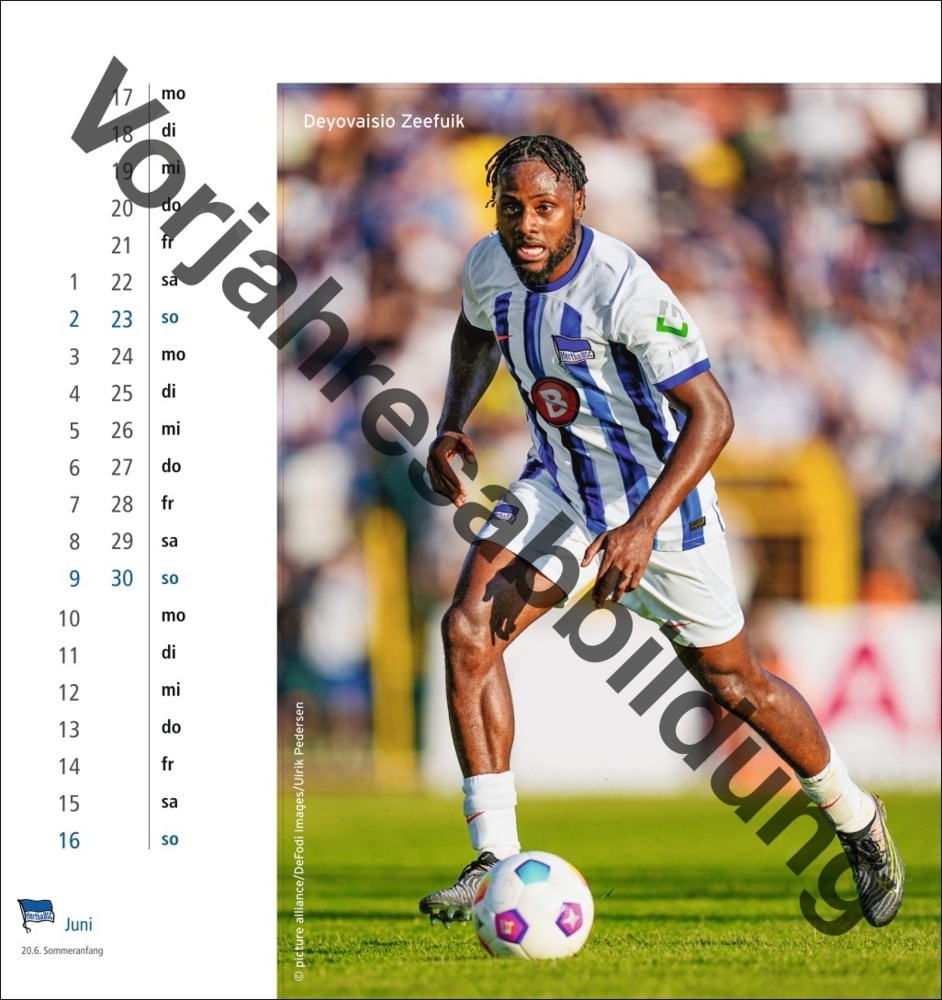 Bild: 9783756405480 | Hertha BSC Postkartenkalender 2025 | Kalender | Spiralbindung | 13 S.