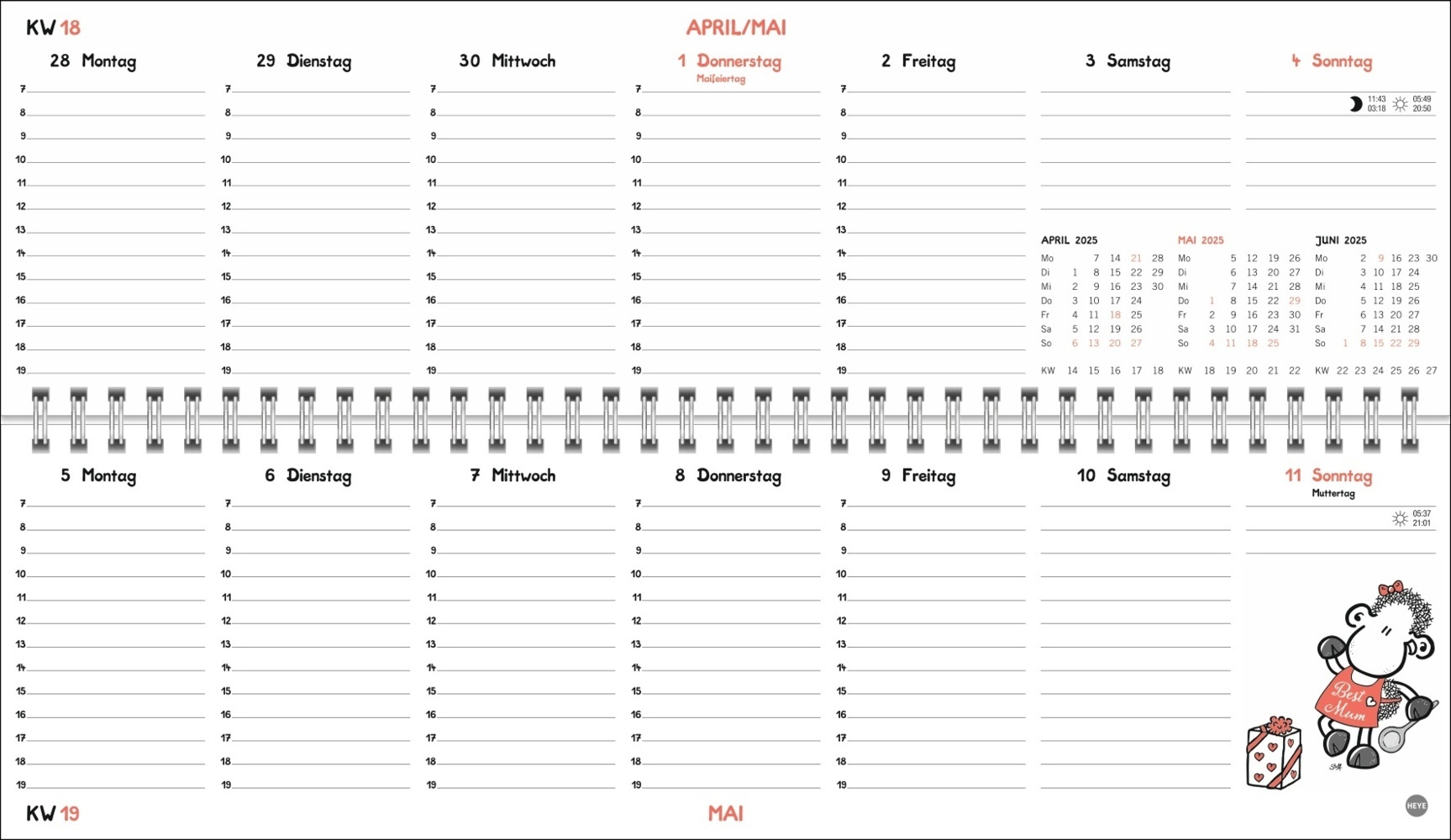 Bild: 9783756406531 | sheepworld Wochenquerplaner 2025 | Kalender | Spiralbindung | 64 S.