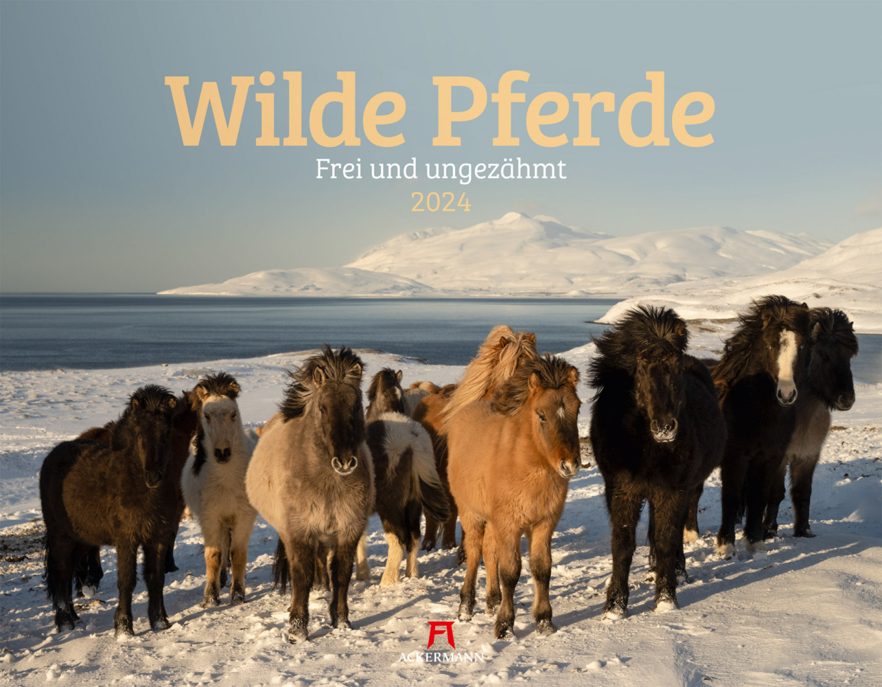Cover: 9783838434087 | Wilde Pferde Kalender 2024 | Ackermann Kunstverlag | Kalender | 14 S.