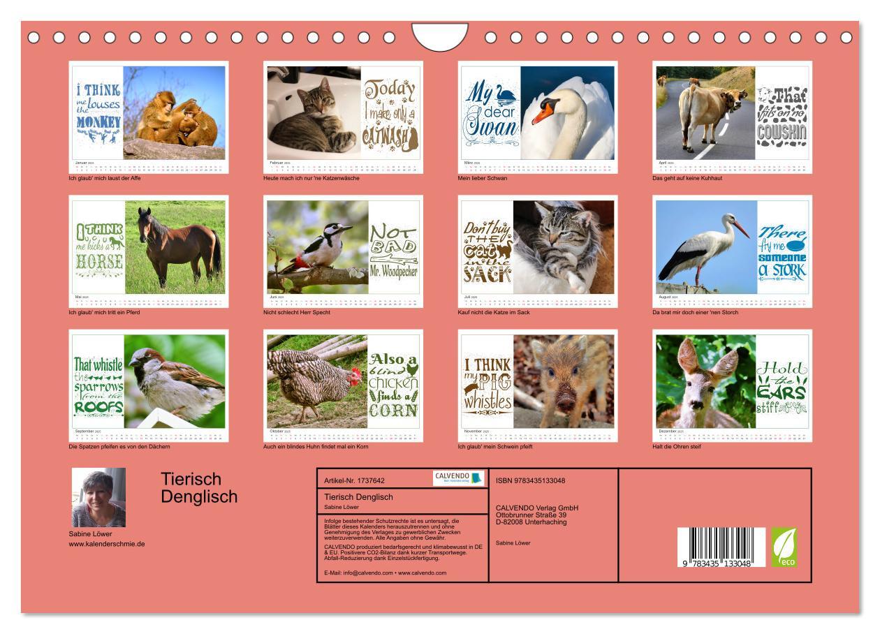 Bild: 9783435133048 | Tierisch Denglisch (Wandkalender 2025 DIN A4 quer), CALVENDO...