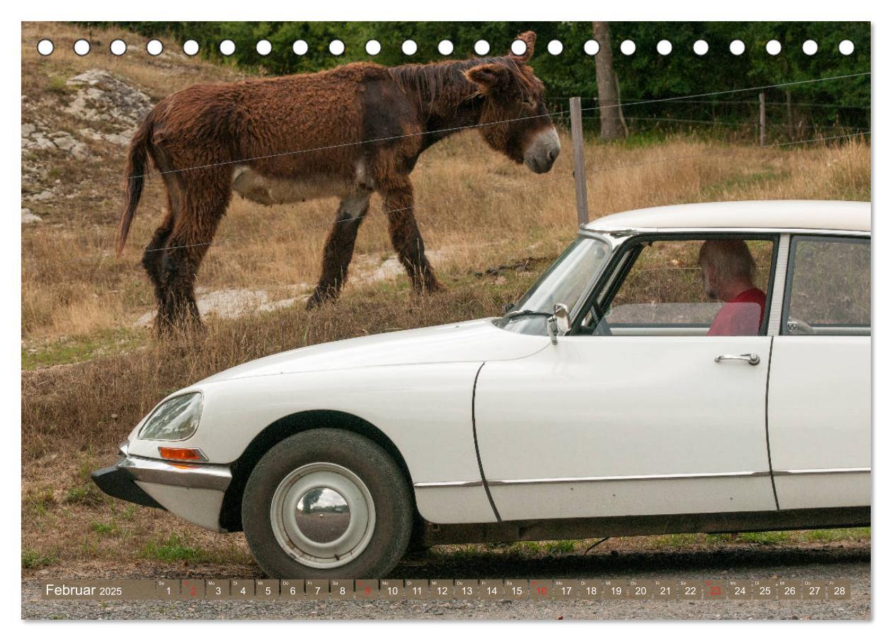 Bild: 9783435192311 | Citroën DS Göttin im Mittelrheintal (Tischkalender 2025 DIN A5...