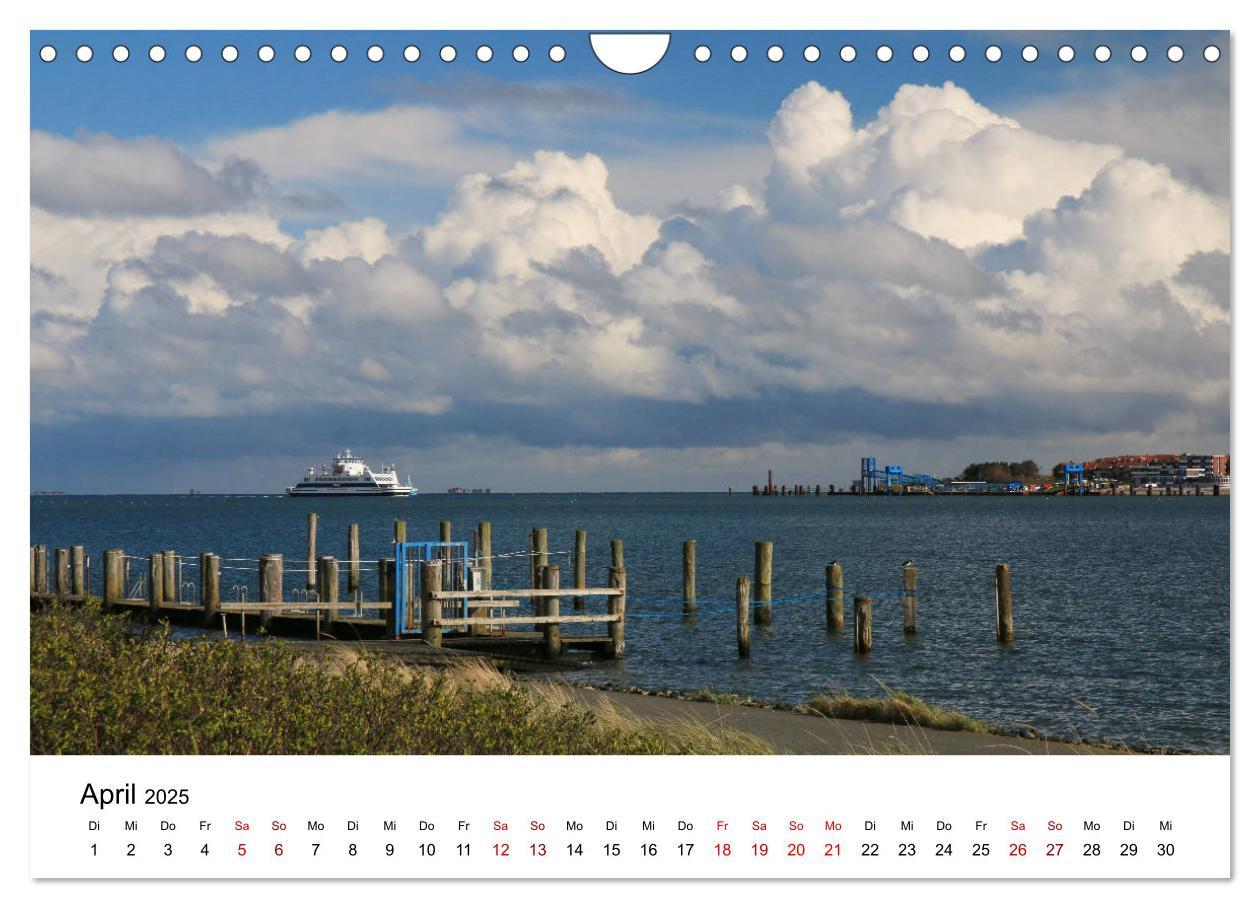 Bild: 9783435388387 | Insel Amrum - Ein Juwel unterm norddeutschen Himmel (Wandkalender...