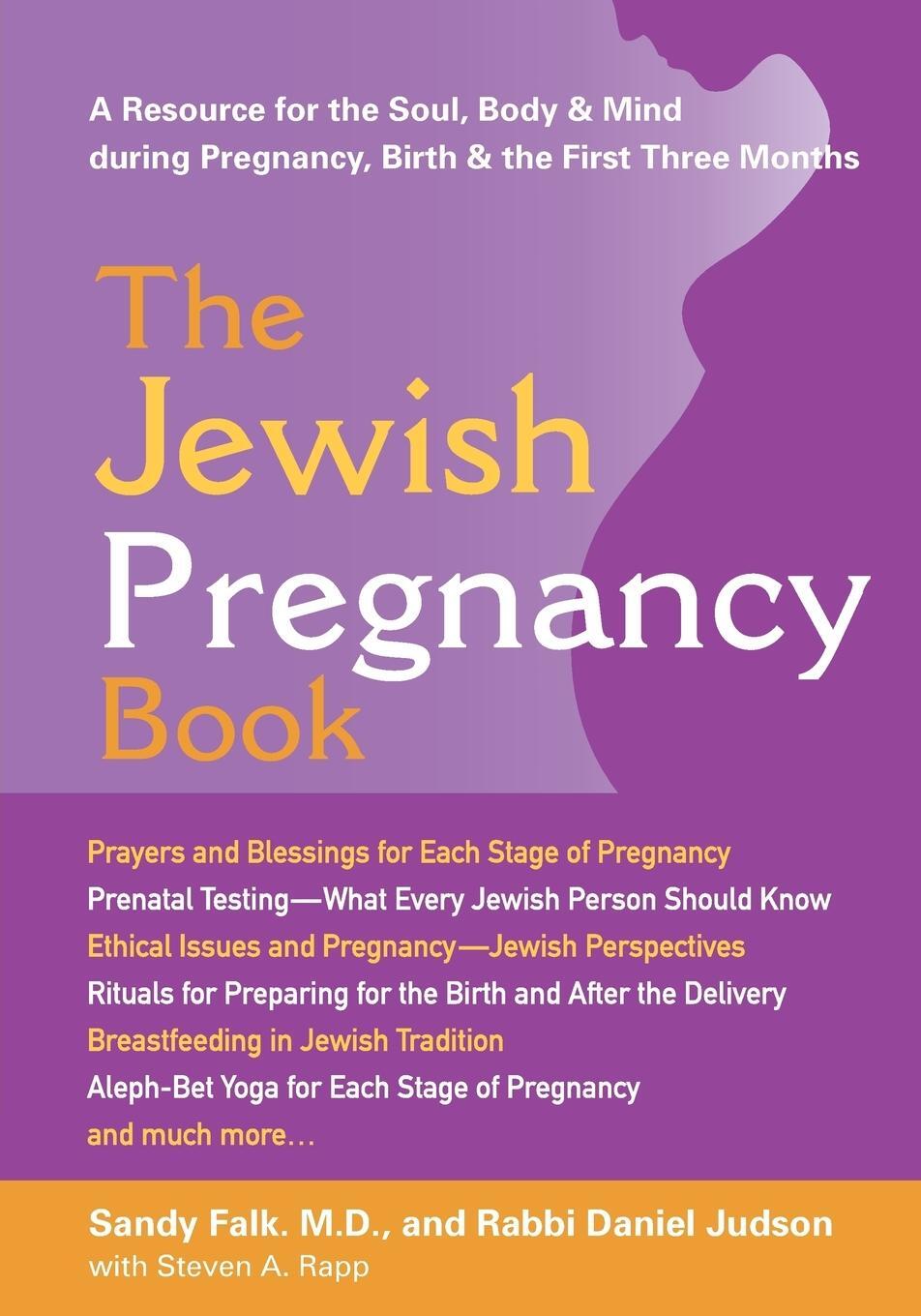 Cover: 9781580231787 | The Jewish Pregnancy Book | Daniel Judson | Taschenbuch | Paperback
