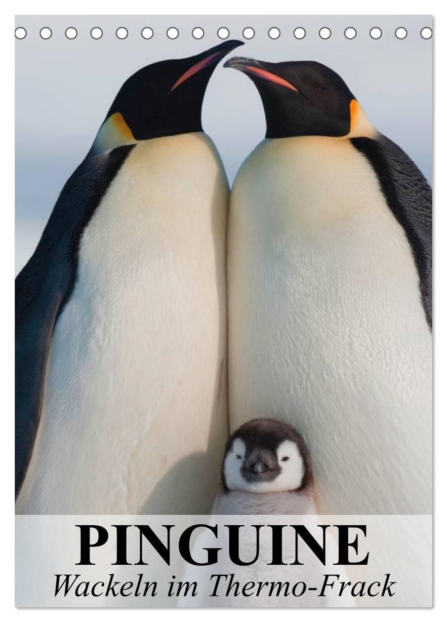 Cover: 9783675701465 | Pinguine - Wackeln im Thermo-Frack (Tischkalender 2024 DIN A5...