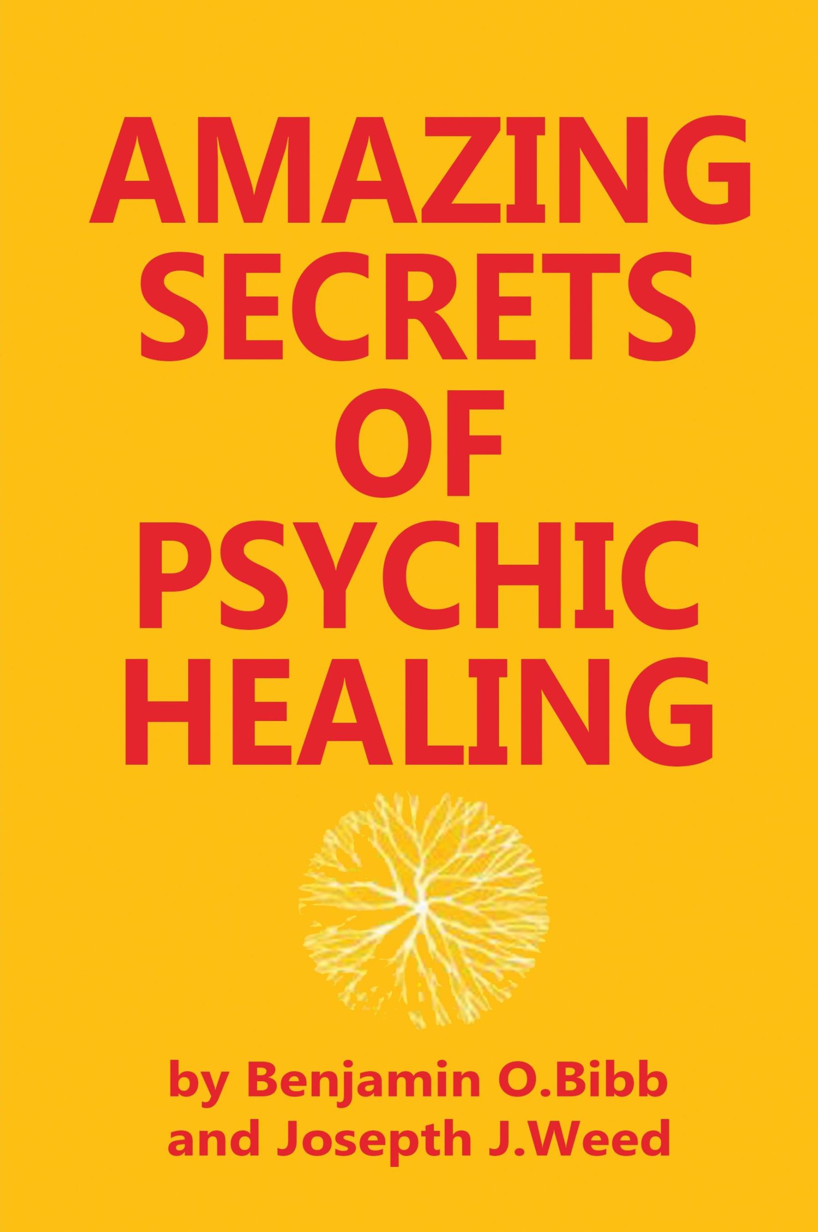 Cover: 9780130237620 | Amazing Secrets of Psychic Healing | Benjamin O. Bibb (u. a.) | Buch