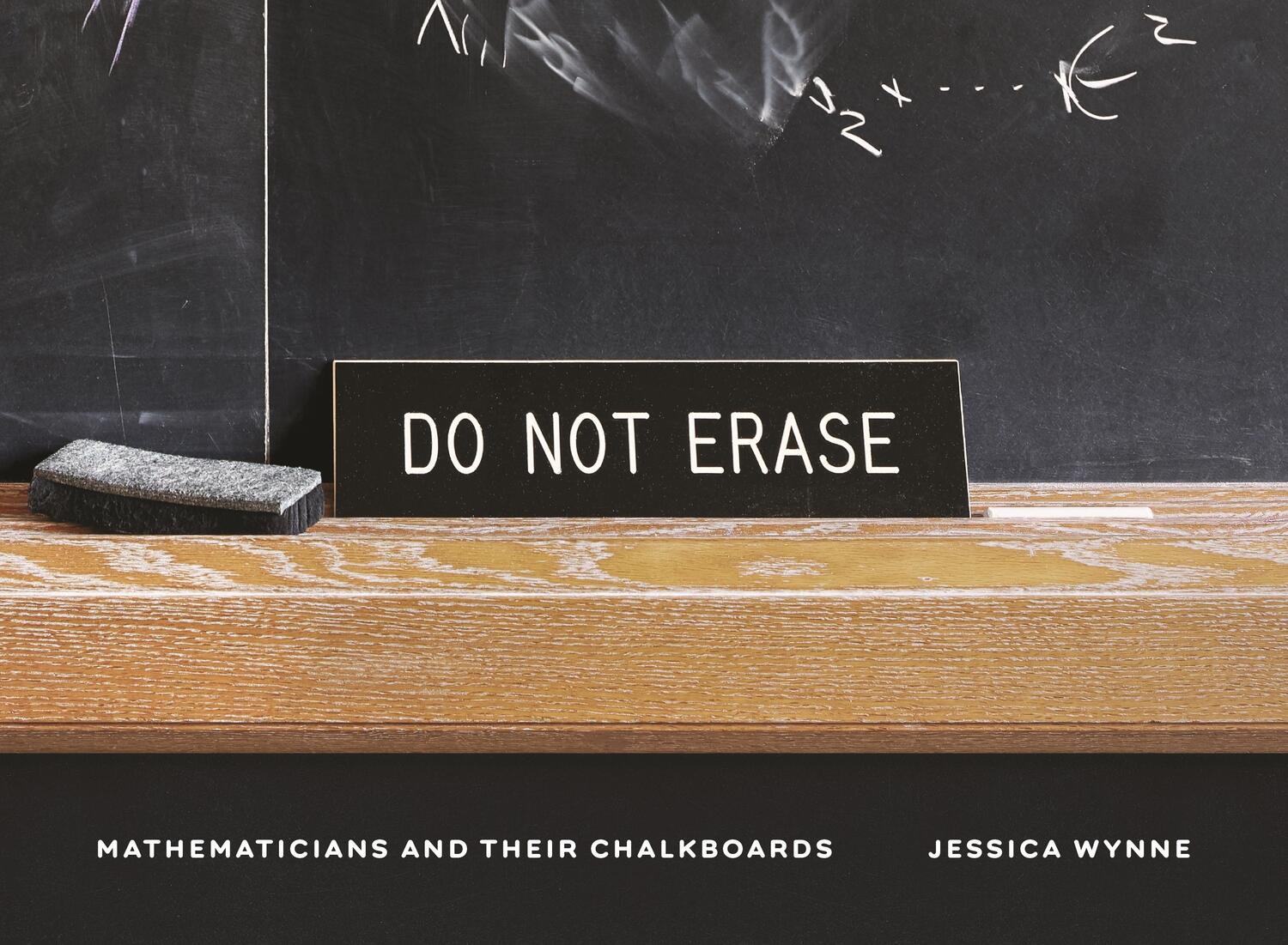 Cover: 9780691199221 | Do Not Erase | Mathematicians and Their Chalkboards | Jessica Wynne