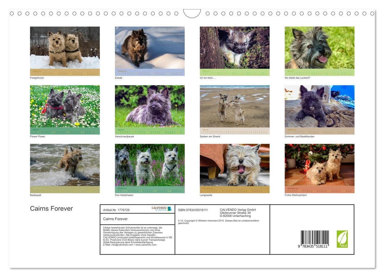 Bild: 9783435518111 | Cairns Forever (Wandkalender 2025 DIN A3 quer), CALVENDO...