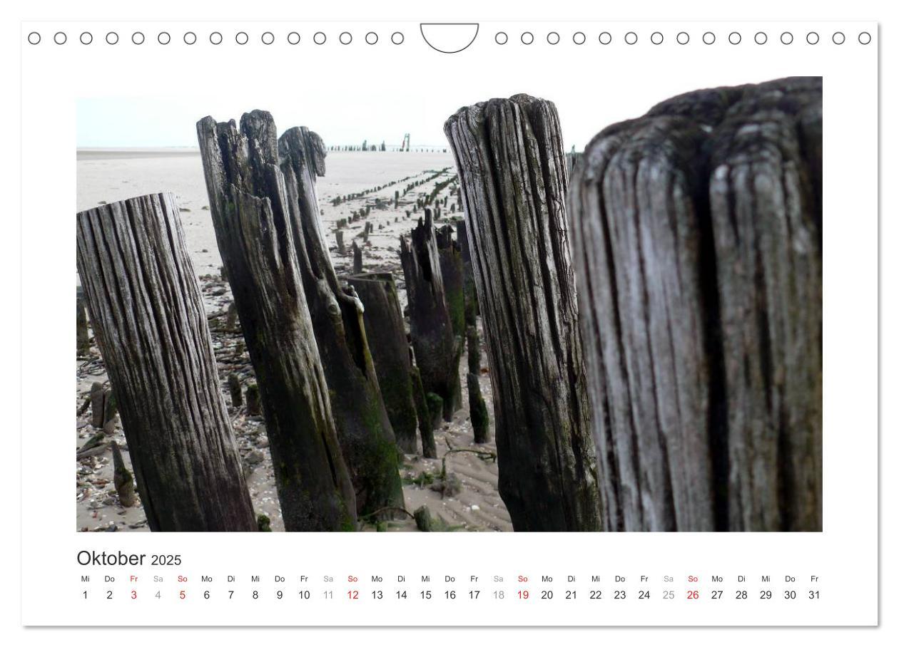 Bild: 9783435480210 | Wangerooge. Der Charme des Ostanlegers (Wandkalender 2025 DIN A4...