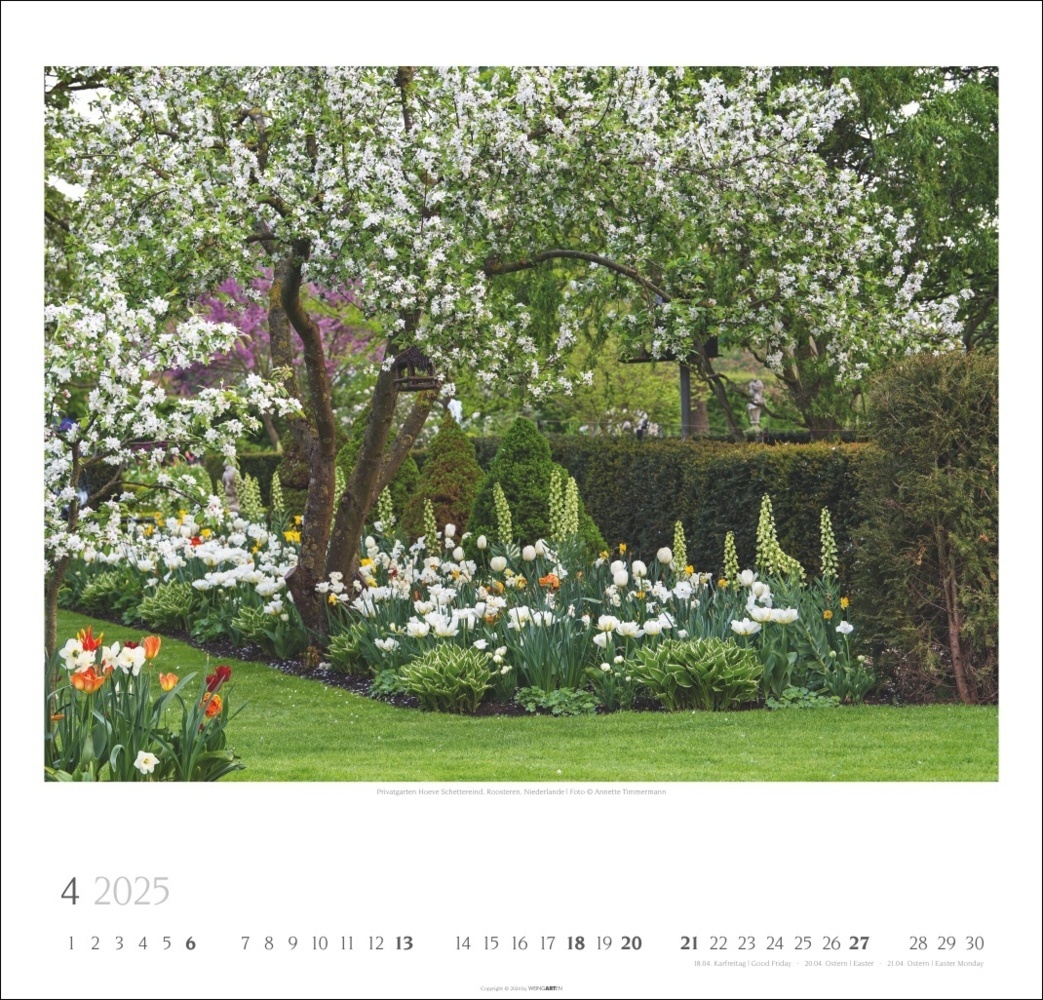 Bild: 9783839900307 | Gartenträume Kalender 2025 | Annette Timmermann | Kalender | 14 S.