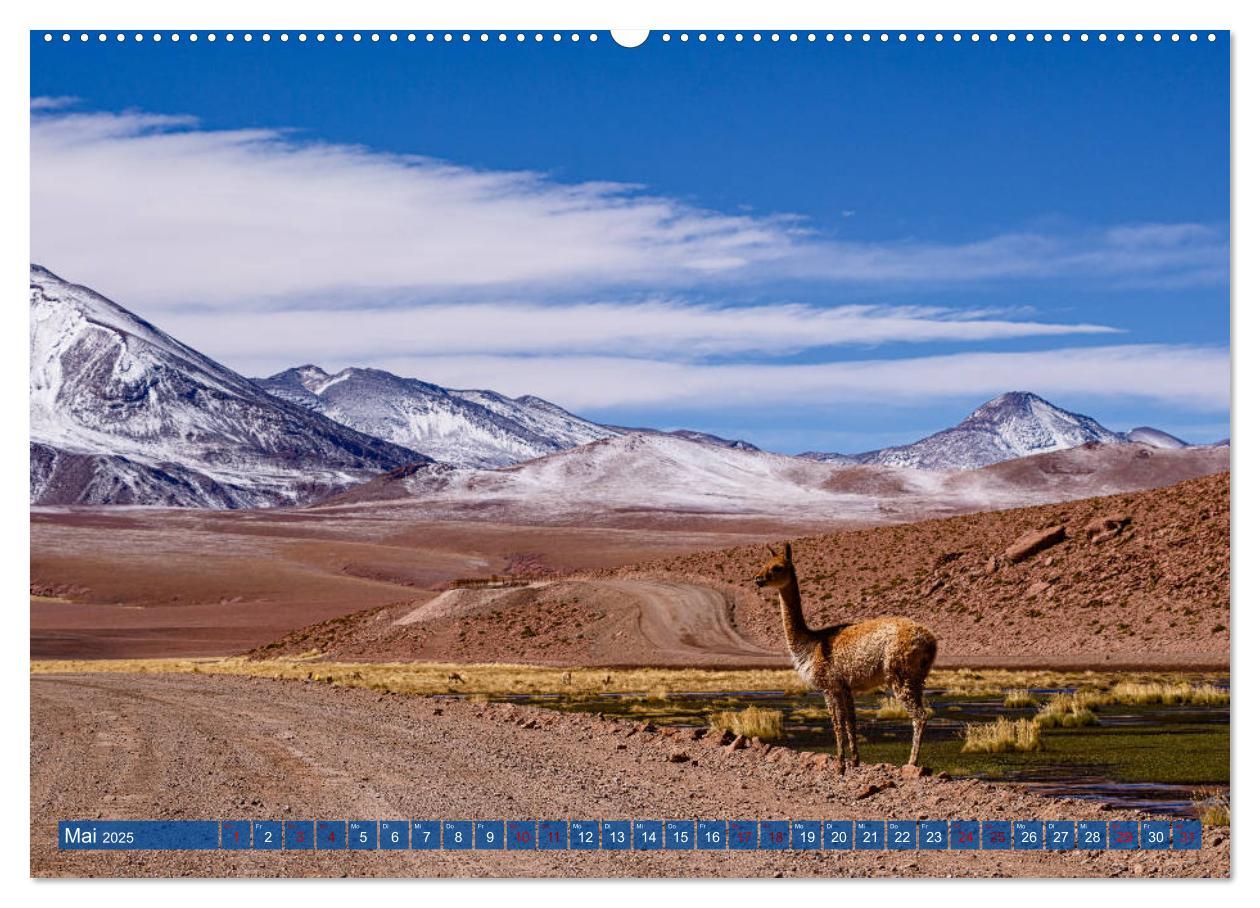 Bild: 9783435358335 | Atacama: Karge Wüste, mächtige Vulkane und farbenprächtige Lagunen...