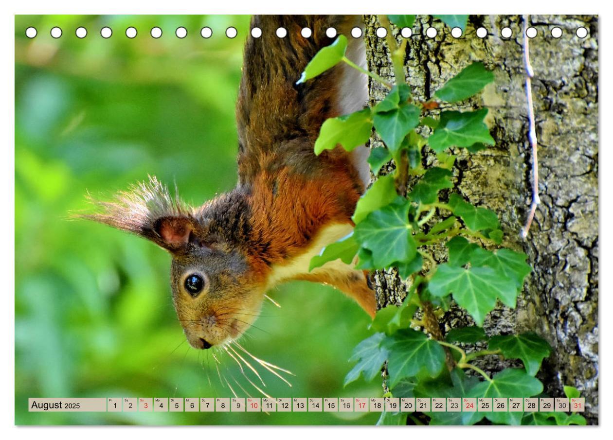 Bild: 9783435174355 | Leise durch den Wald. Sich Zeit nehmen und der Stille lauschen...