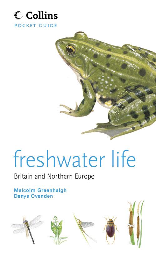 Cover: 9780007177776 | Freshwater Life | Denys Ovenden (u. a.) | Taschenbuch | Englisch