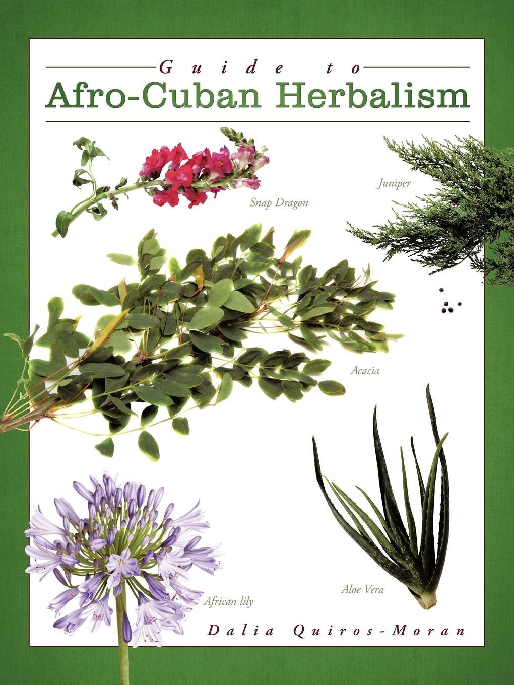 Cover: 9781438980973 | Guide to Afro-Cuban Herbalism | Dalia Quiros-Moran | Taschenbuch