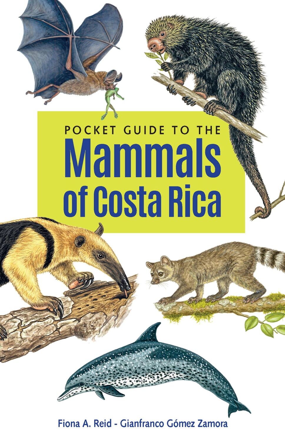 Cover: 9781501766961 | Pocket Guide to the Mammals of Costa Rica | Fiona A Reid (u. a.)