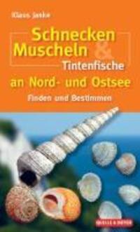 Cover: 9783494014562 | Schnecken, Muscheln & Tintenfische an Nord- und Ostsee | Janke (u. a.)