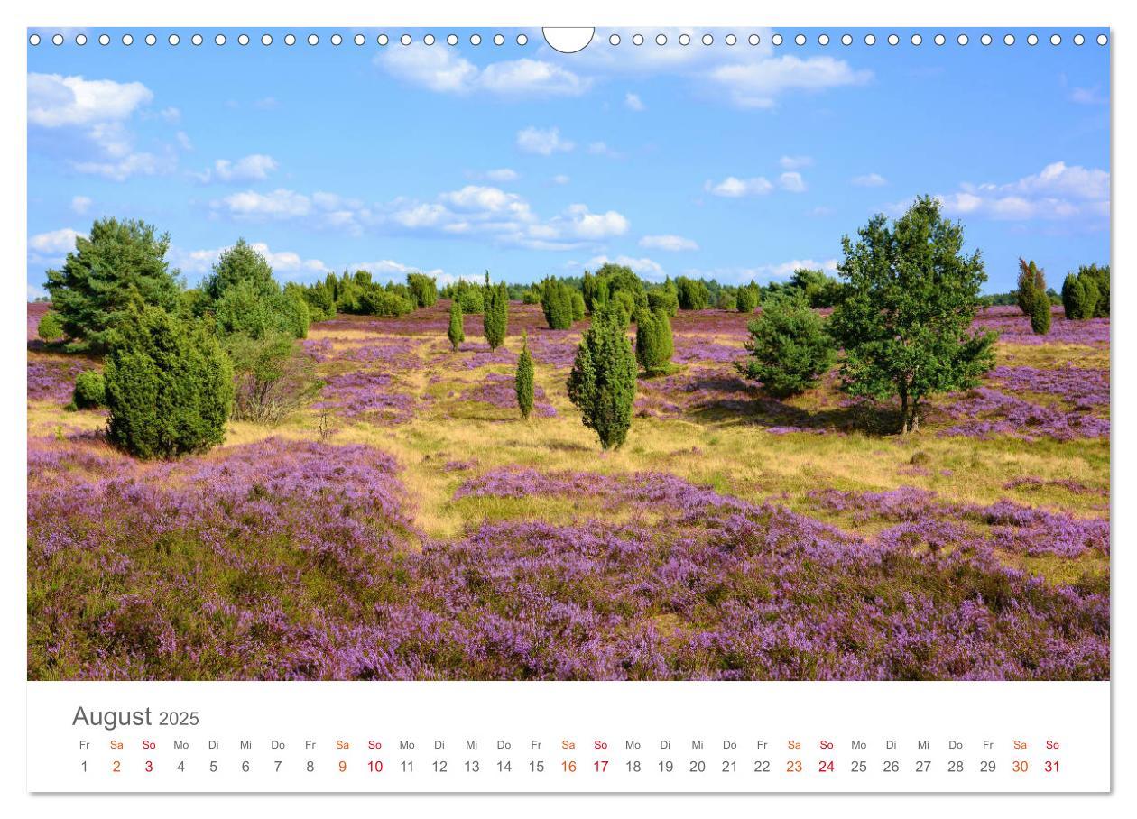 Bild: 9783435300006 | Unterwegs im Heidekreis (Wandkalender 2025 DIN A3 quer), CALVENDO...