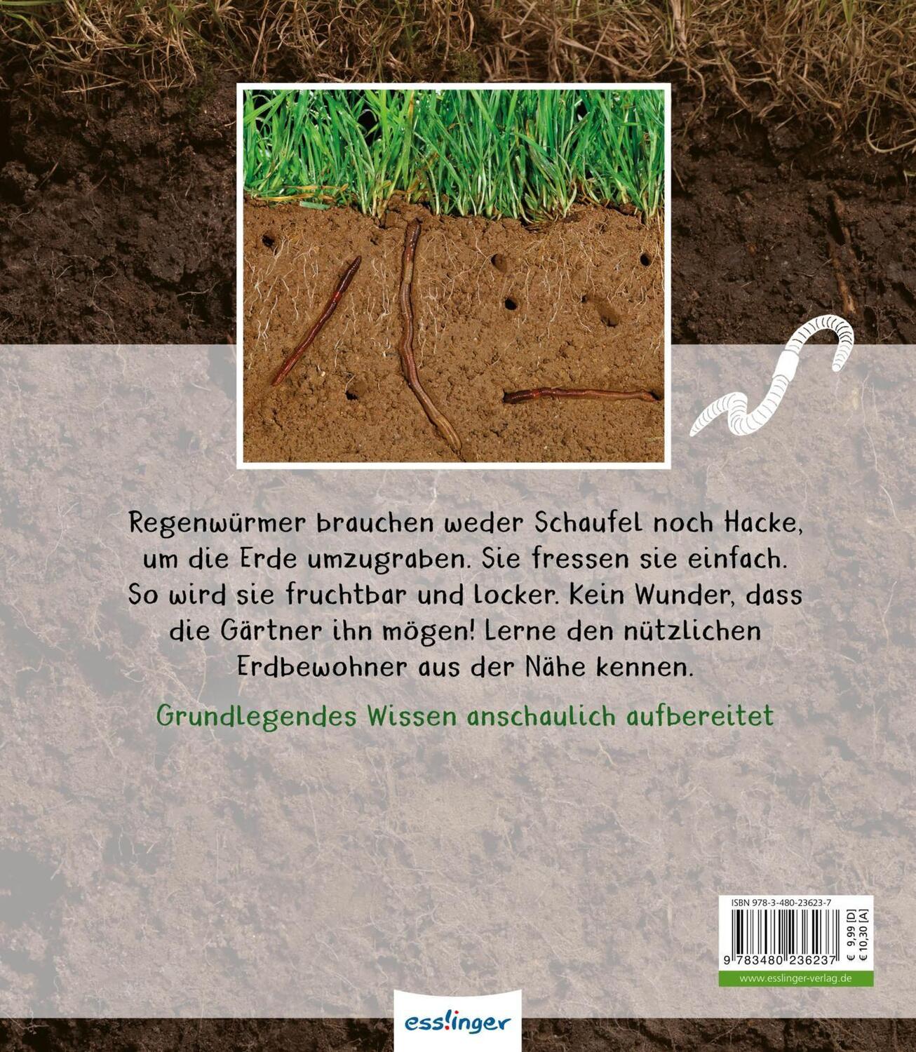 Rückseite: 9783480236237 | Meine große Tierbibliothek: Der Regenwurm | Valérie Tracqui | Buch