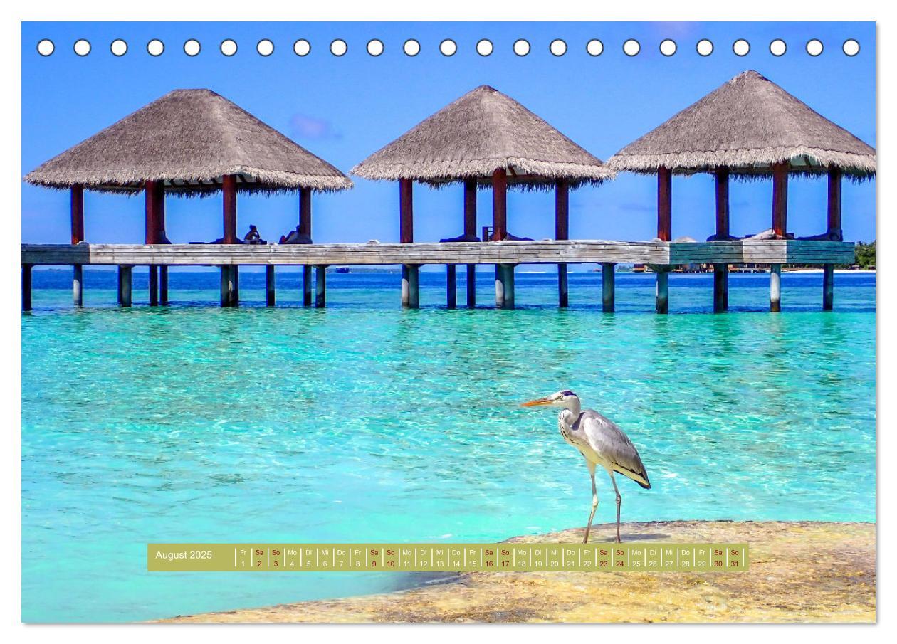 Bild: 9783383884115 | Kudafushi (Tischkalender 2025 DIN A5 quer), CALVENDO Monatskalender