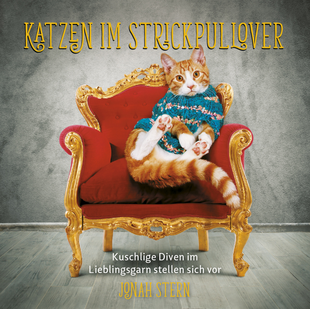 Cover: 9783283013158 | Katzen im Strickpullover | Jonah Stern | Buch | 84 S. | Deutsch | 2022
