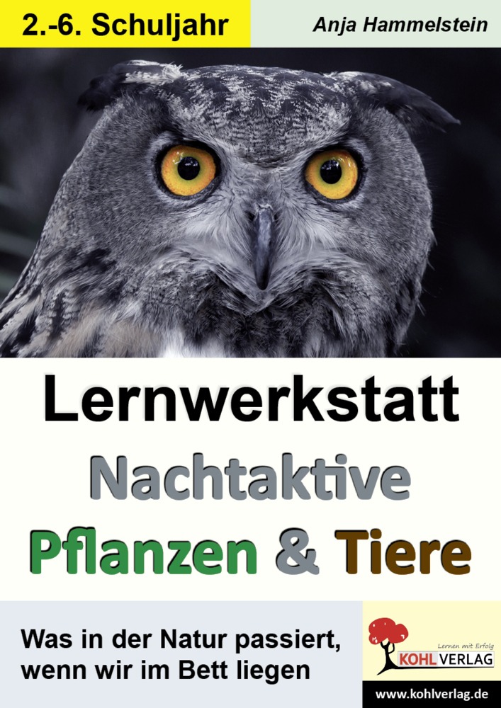 Cover: 9783960402831 | Lernwerkstatt Nachtaktive Pflanzen und Tiere | Anja Hammelstein | Buch