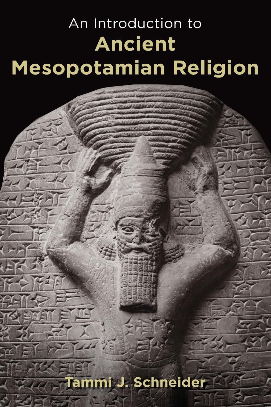 Cover: 9780802829597 | Introduction to Ancient Mesopotamian Religion | Tammi J Schneider