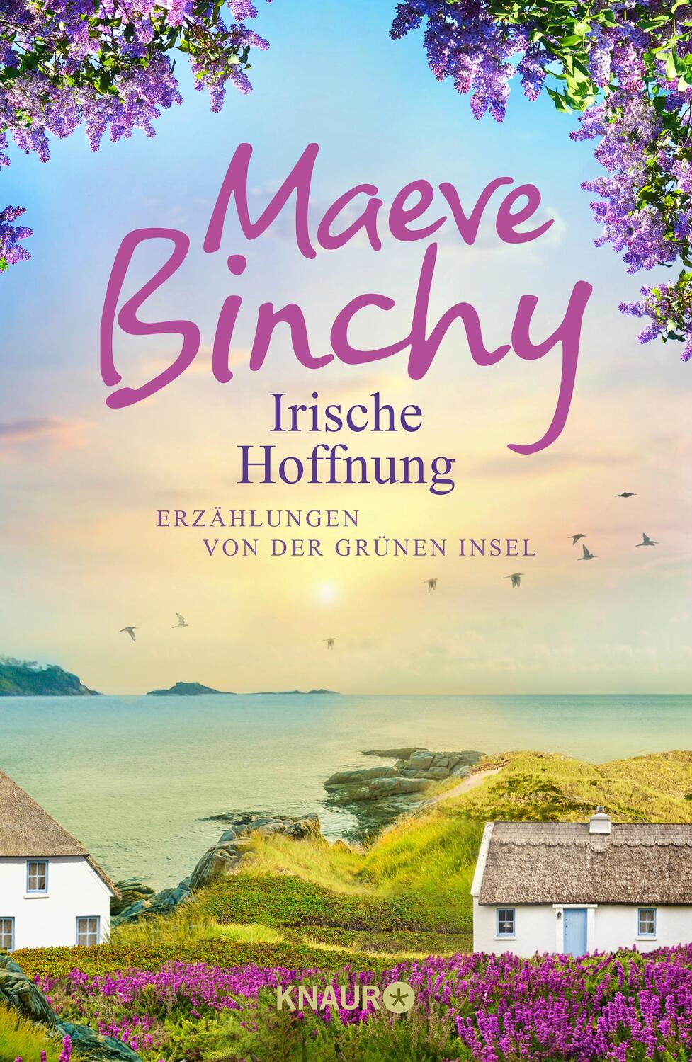 Cover: 9783426226667 | Irische Hoffnung | Erzählungen von der Grünen Insel | Maeve Binchy