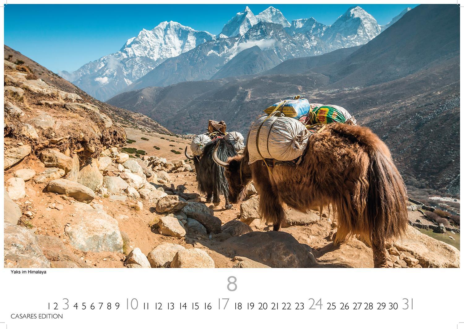 Bild: 9781835242360 | Nepal 2025 L 35x50cm | Kalender | 14 S. | Deutsch | 2025