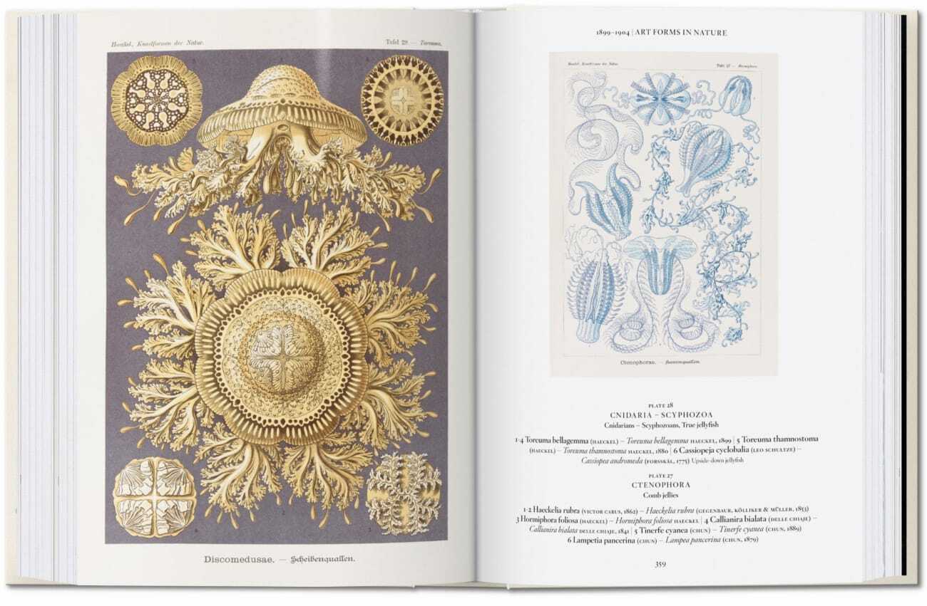 Bild: 9783836584289 | The Art and Science of Ernst Haeckel. 40th Ed. | Julia Voss (u. a.)