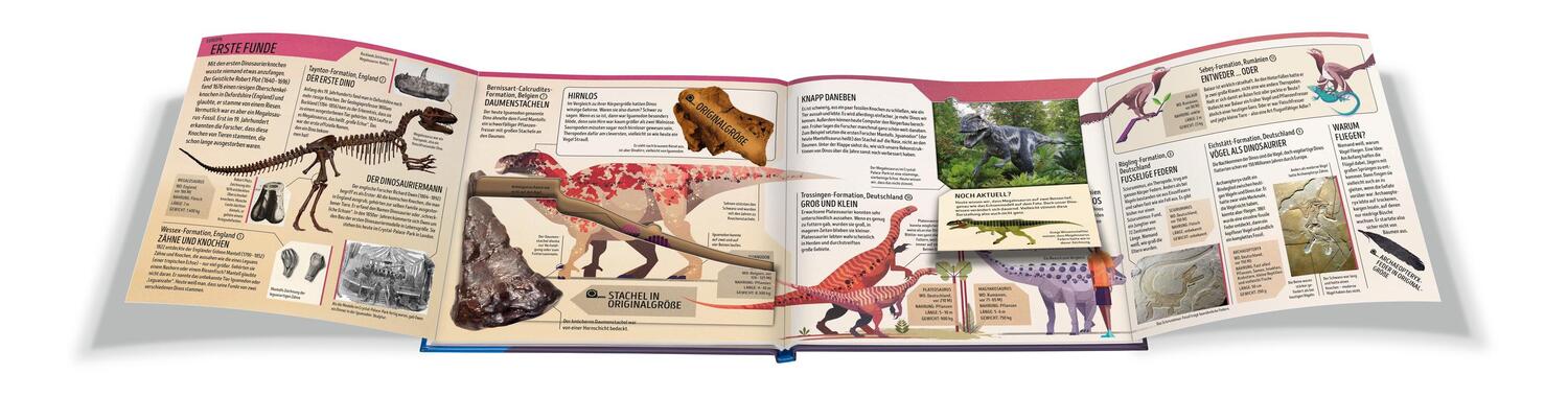 Bild: 9783473480128 | Der Ravensburger Dinosaurier-Atlas | Anne Rooney | Buch | 62 S. | 2021