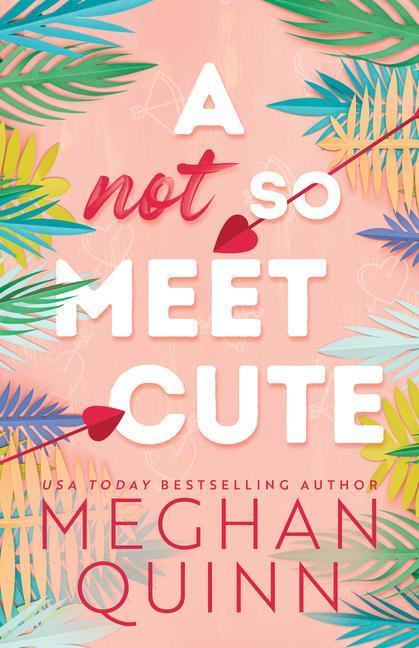 Cover: 9781728294339 | A Not So Meet Cute | Meghan Quinn | Taschenbuch | Cane Brothers | 2023