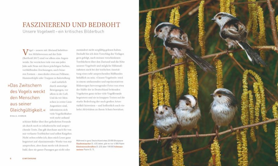 Bild: 9783954162734 | Unsere einzigartige Vogelwelt | Peter Berthold | Buch | 224 S. | 2018