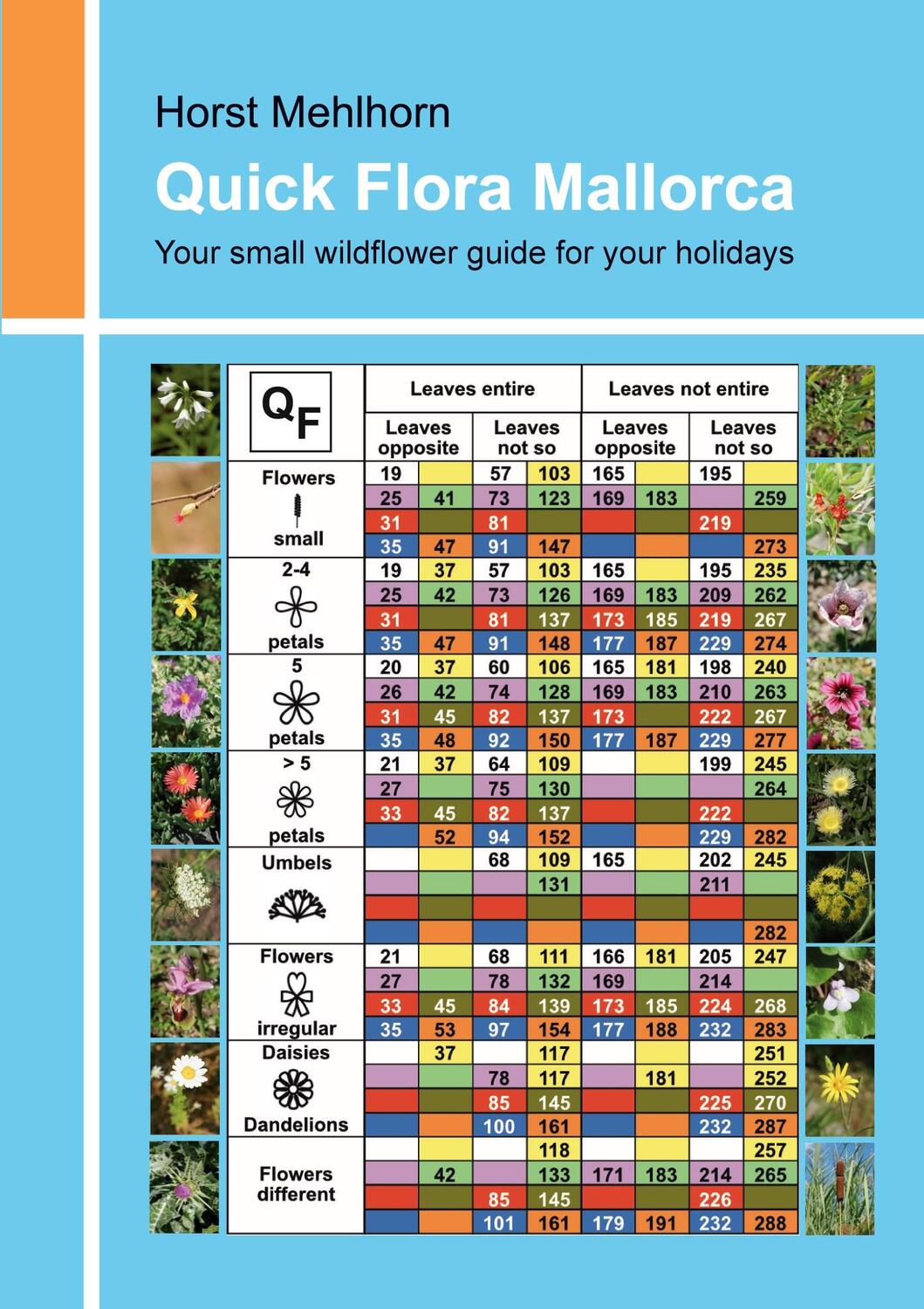 Cover: 9783347289550 | Quick Flora Mallorca | Your small wildflower guide for your holidays
