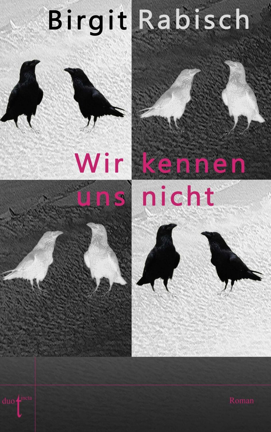 Cover: 9783946086222 | Wir kennen uns nicht | Birgit Rabisch | Taschenbuch | Paperback | 2016