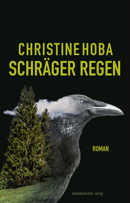 Cover: 9783963114823 | Schräger Regen | Roman | Christine Hoba | Taschenbuch | 2021