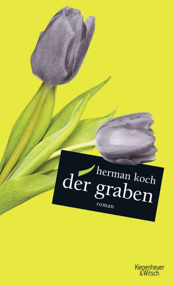 Cover: 9783462050820 | Der Graben | Roman | Herman Koch | Buch | 304 S. | Deutsch | 2018