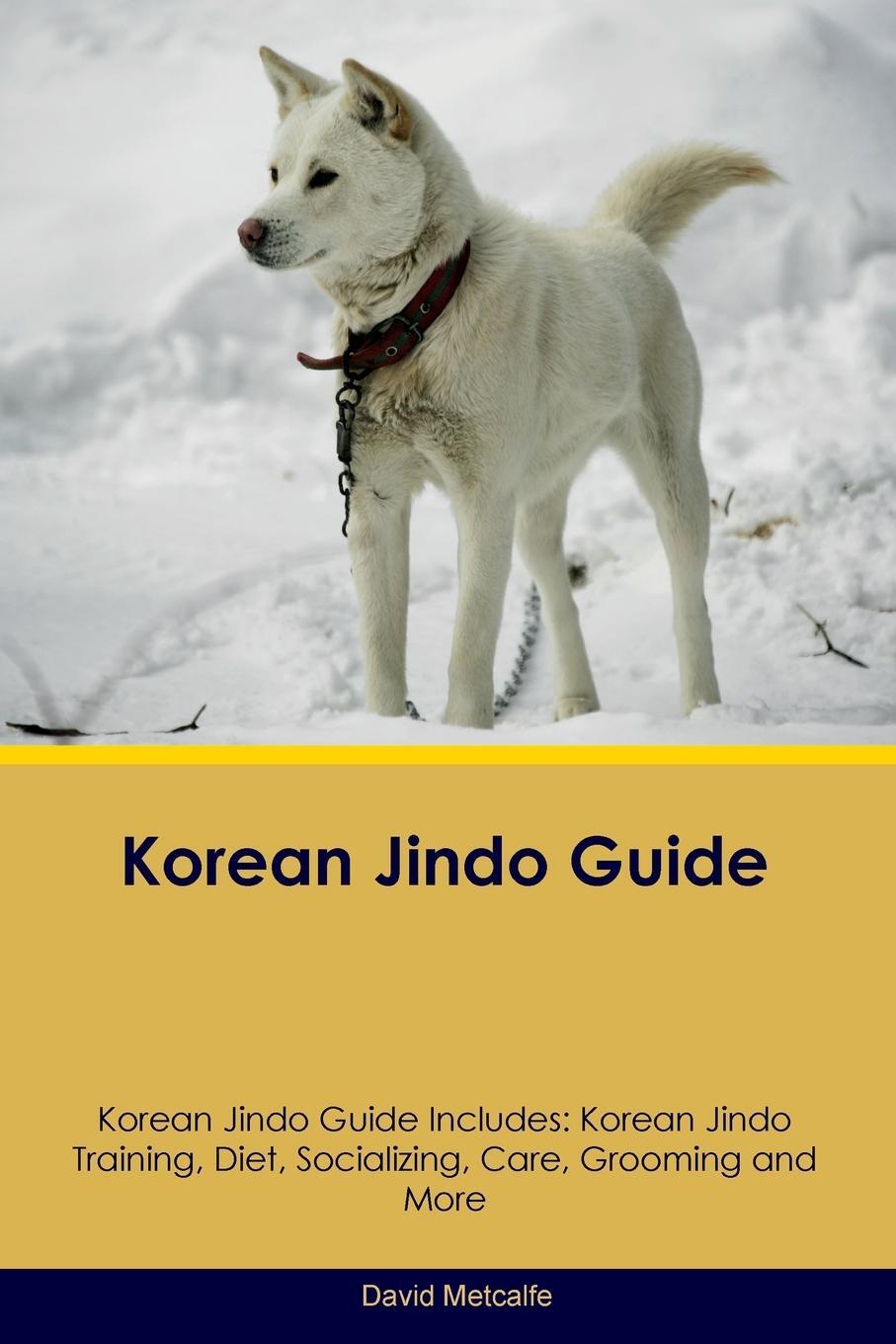 Cover: 9781395864460 | Korean Jindo Guide Korean Jindo Guide Includes | David Metcalfe | Buch