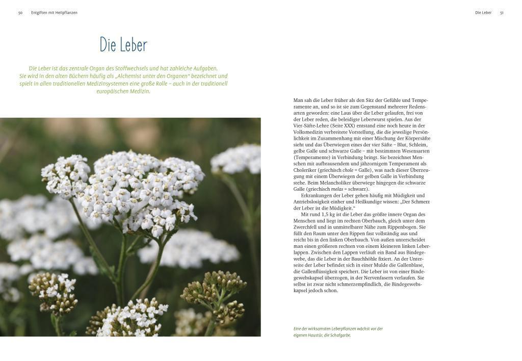 Bild: 9783818614515 | Entgiften mit Heilpflanzen | Michaela Girsch | Taschenbuch | Deutsch