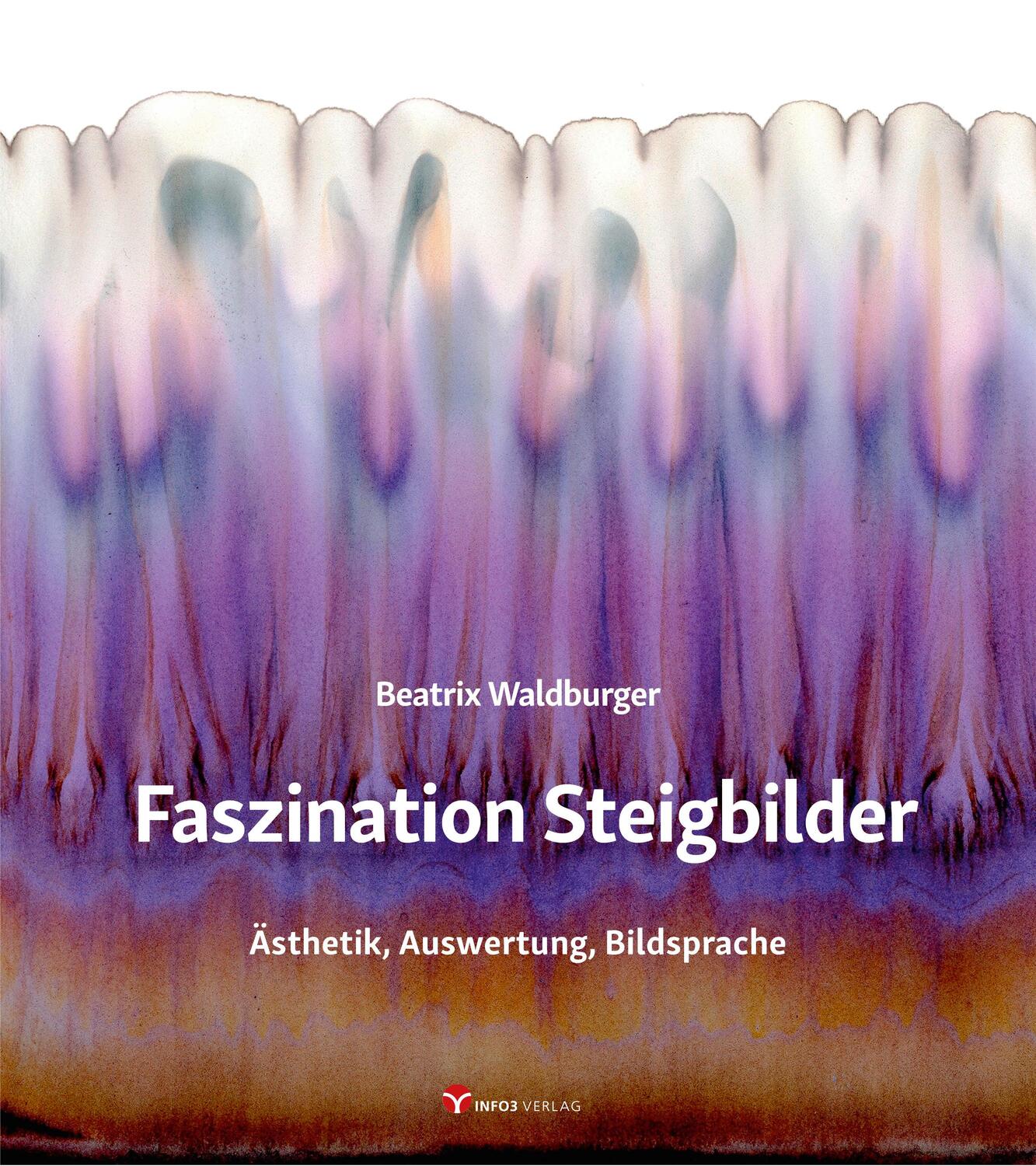 Cover: 9783957791894 | Faszination Steigbilder | Ästhetik, Auswertung, Bildsprache | Buch