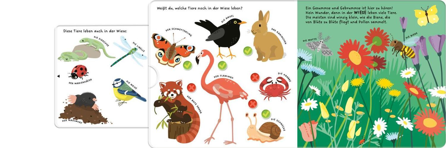 Bild: 9783551254481 | Kennst du die Tiere? | Buch | Mit Schiebern | 14 S. | Deutsch | 2024
