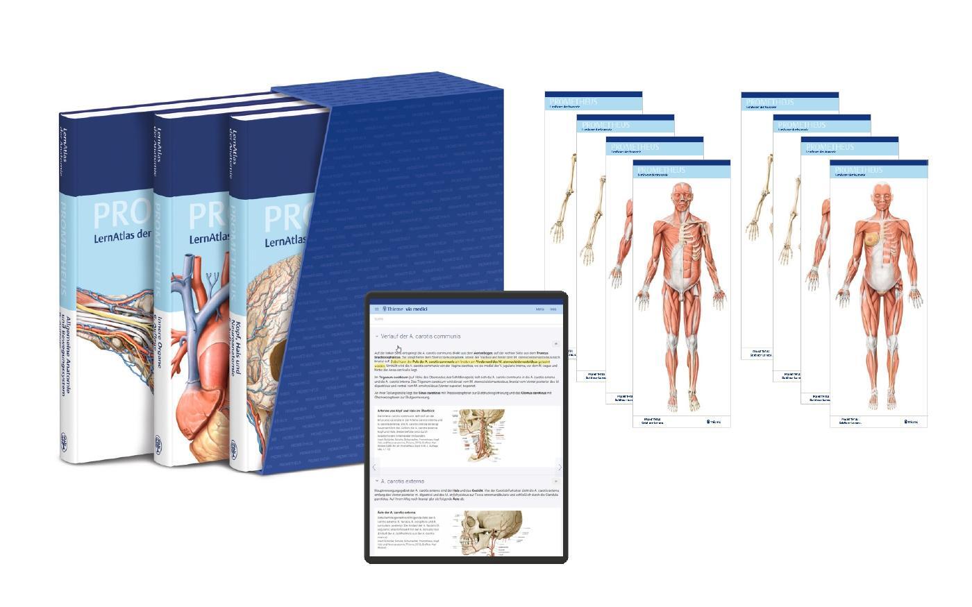 Cover: 9783132451469 | PROMETHEUS LernPaket Anatomie | LernAtlas Anatomie | Bundle | 1 Buch